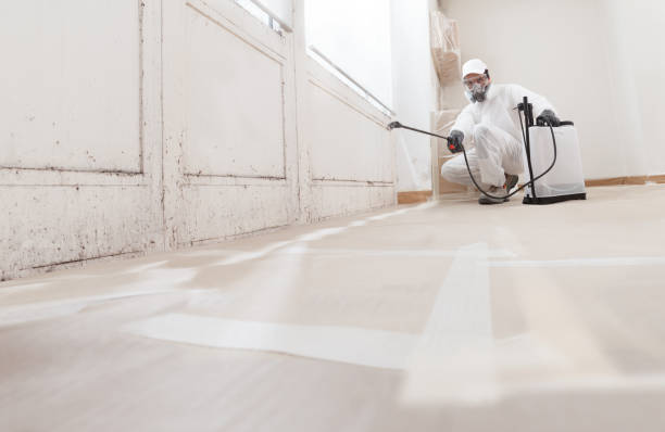 24/7 Emergency Crawl Space Mold Remediation experts in Rock Hall, MD