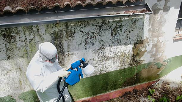 Top rated local Crawl Space Mold Remediation specialists in Rock Hall, MD